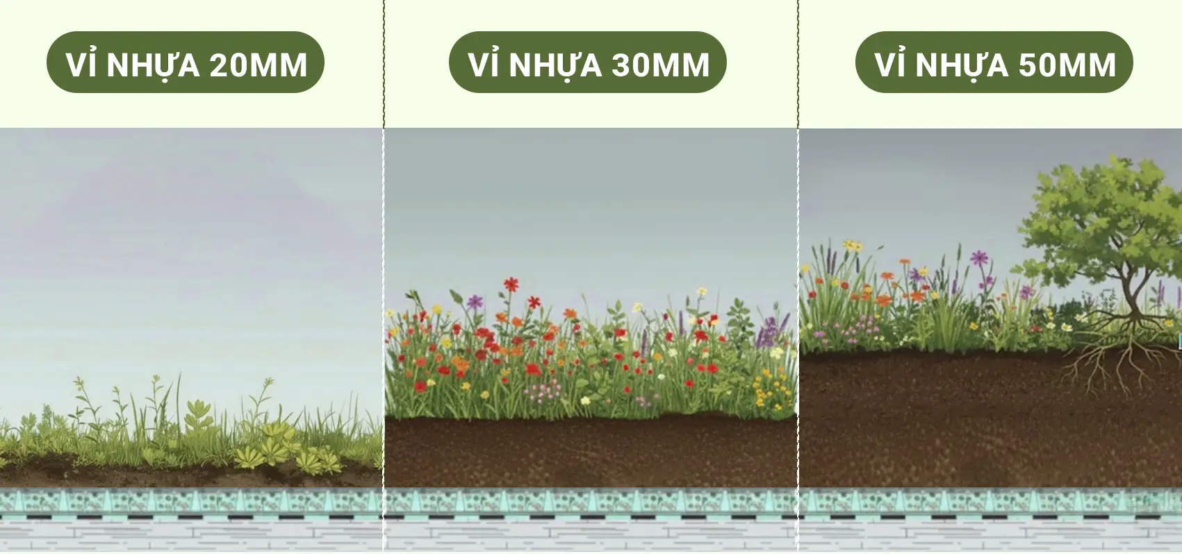 Vỉthoát nước là gì? Phân loại và công dụng của Vỉ thoát nước